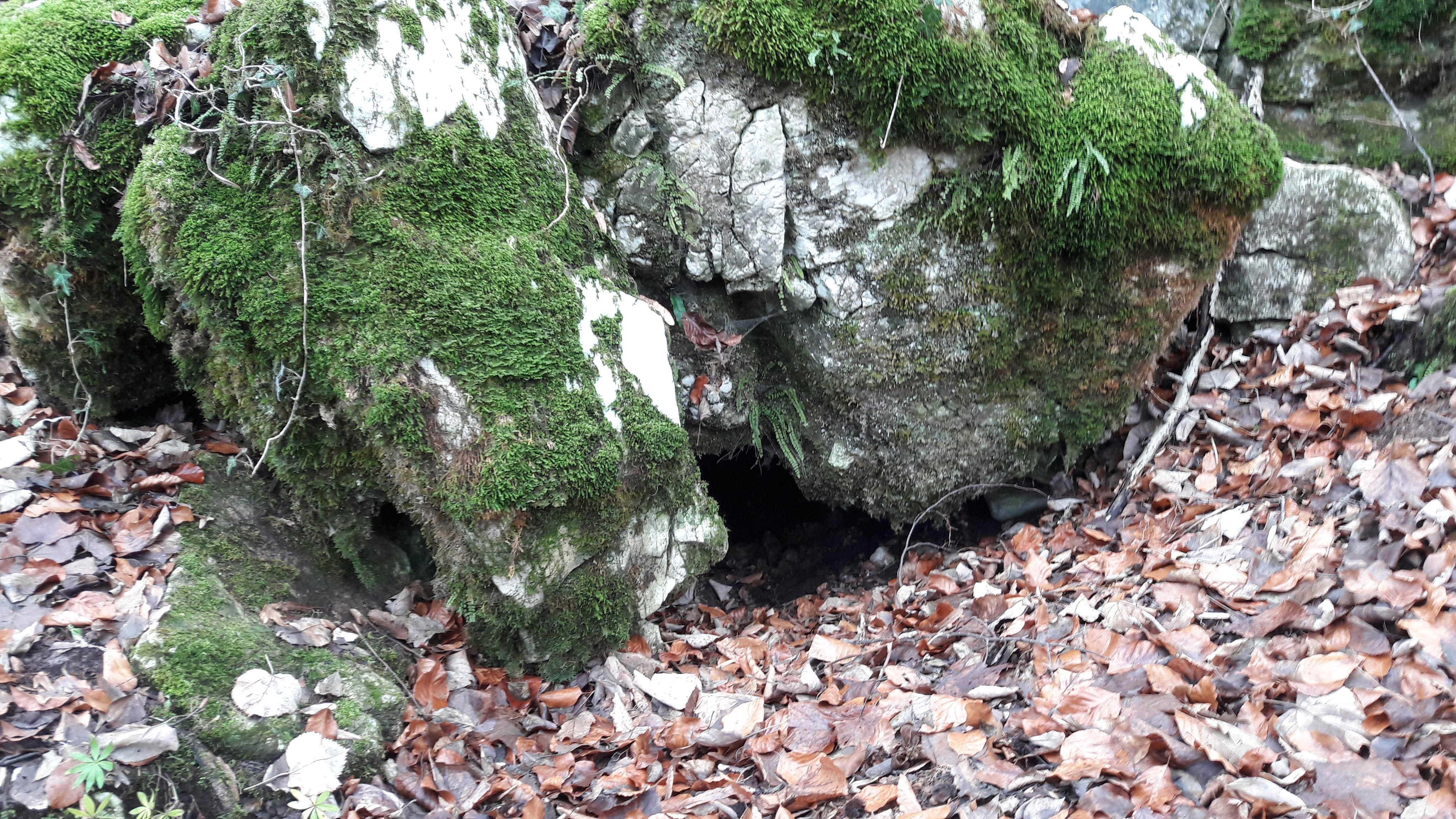 Peștera din Creastă - Image 2